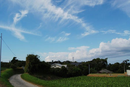 女小ノ山の家