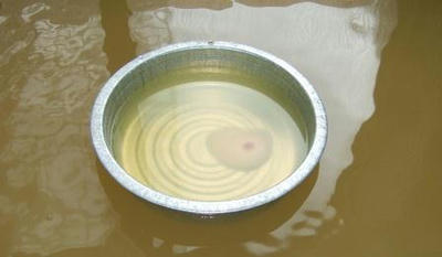 DSCF4001.JPG