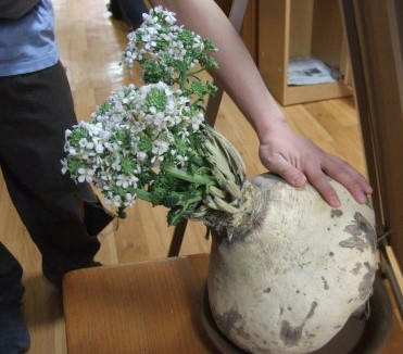 DSCF6706.JPG