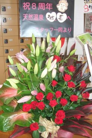 DSCF7230.JPG