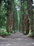 togakushi04.jpg