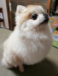 d8057d41.JPG