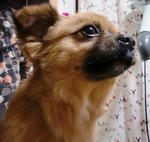d55818f9.JPG