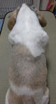 bbd68c88.JPG