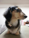 f42eb215.JPG