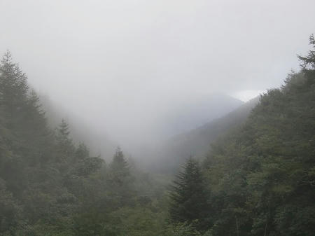 CIMG0408.jpg