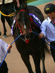 s-P1330202.jpg