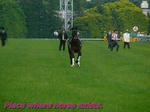 s-P1330875-235.jpg