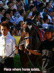 ns-P1390089.jpg