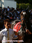 ns-P1390167.jpg