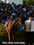 ns-P1390195.jpg