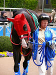 s-P1440497.jpg