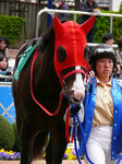 s-P1440635.jpg