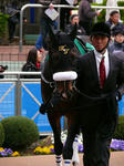 s-P1440541.jpg