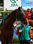 s-P1440545.jpg