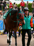 s-P1440579.jpg