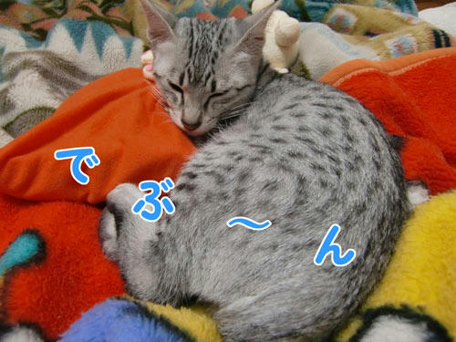 かなめ×ぶろぐ0120【太って見える角度からあえて撮影してみた】