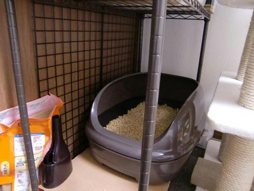 かなめ×ぶろぐ0843【設置してみた】
