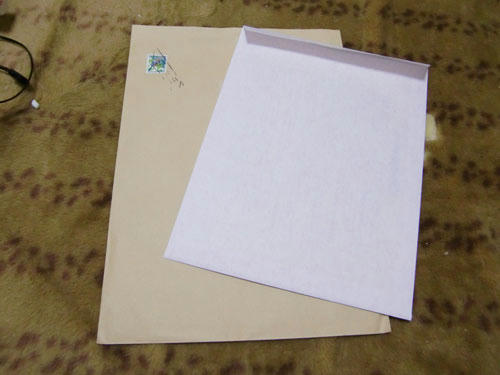 かなめ×ぶろぐ1209【血統書&封筒】