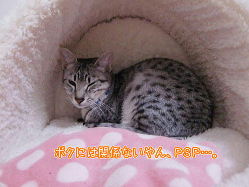 かなめ×ぶろぐ1277【ボクとPSPは関係ないし…】