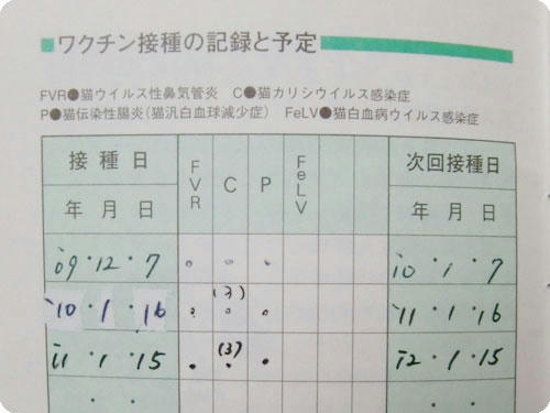 かなめ×ぶろぐ1389【ワクチン接種の記録】