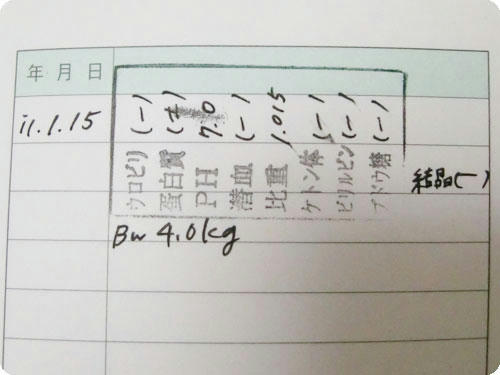 かなめ×ぶろぐ1390【尿検査】