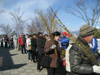 IMG_5056.jpg
