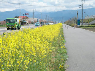 UNI_0318.JPG
