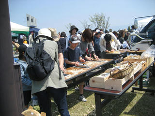 IMG_5695s.jpg