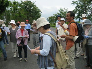 IMG_6331s.jpg