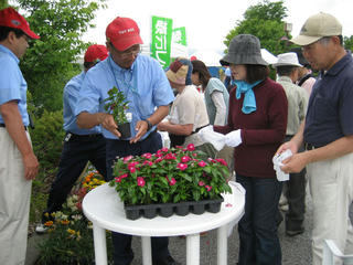 IMG_6288s.jpg