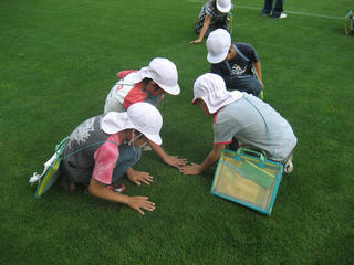 IMG_7319s.jpg