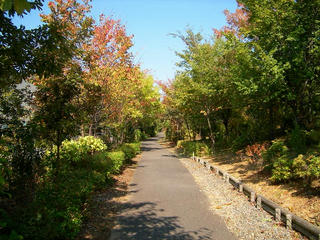 UNI_0921.jpg