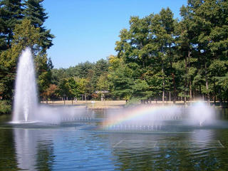 UNI_2011.jpg