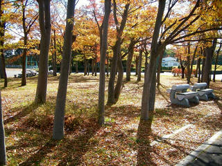 UNI_0946.jpg