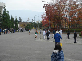 DSC01653.jpg