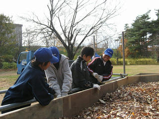 IMG_8639.jpg