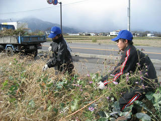 IMG_8674.jpg