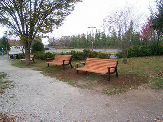RIMG0012.jpg