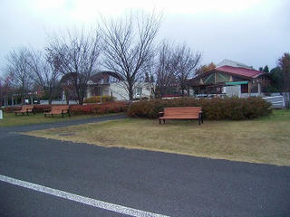RIMG0017.jpg