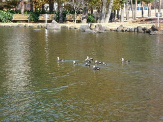 P1000019.jpg