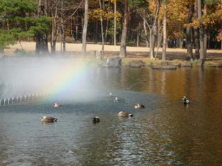 P1000021.jpg
