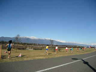 IMG_8929.jpg