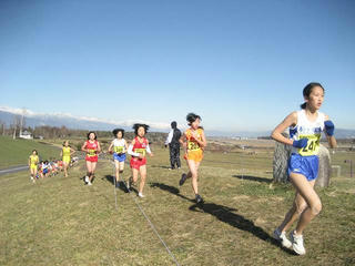 IMG_8944.jpg