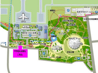 kemirinoki_map.jpg