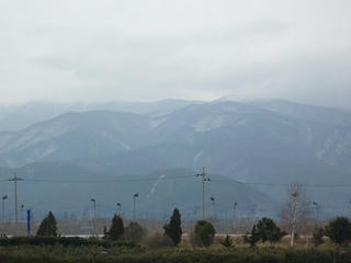 P1000433.jpg
