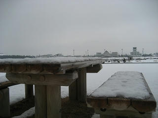 IMG_9560.jpg