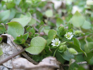 s-IMG_9752.jpg