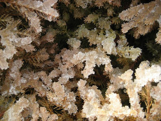 IMG_9869.jpg