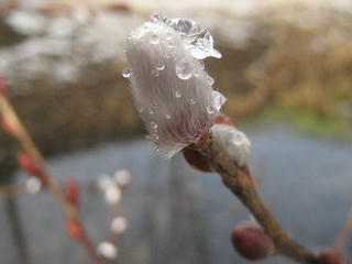 IMG_9887.jpg